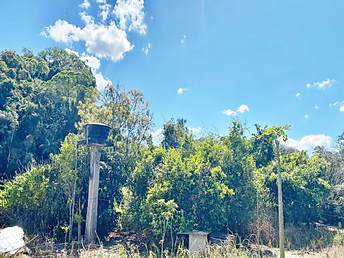 Terreno  909,53M² - Santo Amaro da Imperatriz - Foto 18