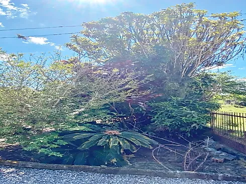 Terreno  909,53M² - Santo Amaro da Imperatriz - Foto 19
