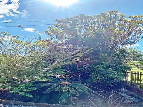 Terreno  909,53M² - Santo Amaro da Imperatriz - Foto 21
