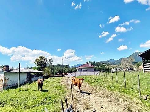Terreno  909,53M² - Santo Amaro da Imperatriz - Foto 5