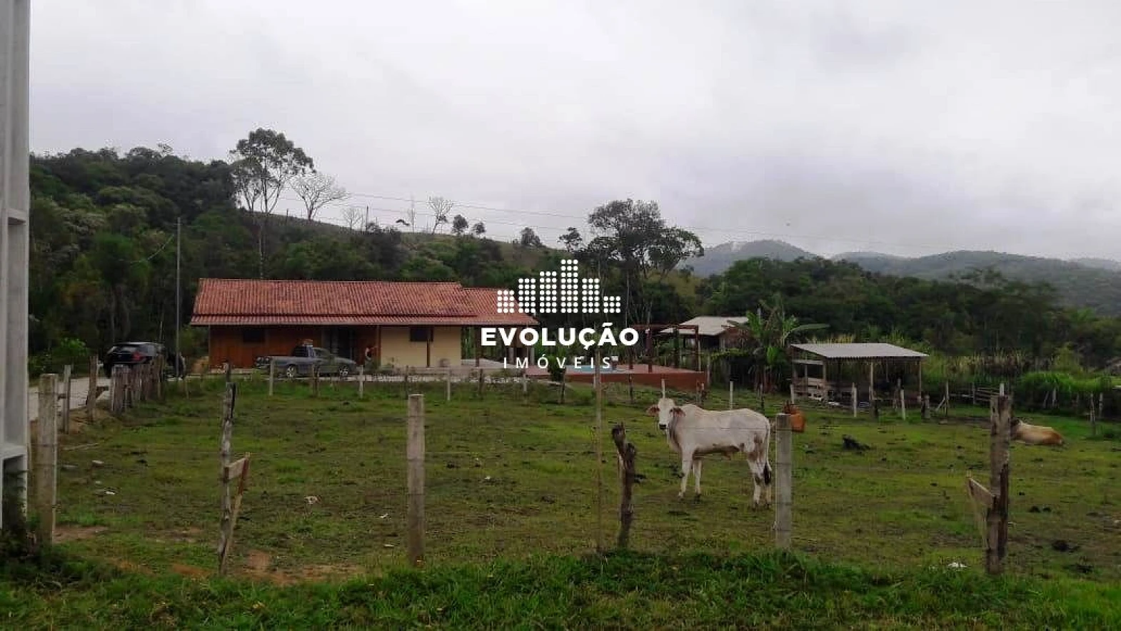 Sítio à Venda -Fazenda - Biguaçu/SC - Foto 11
