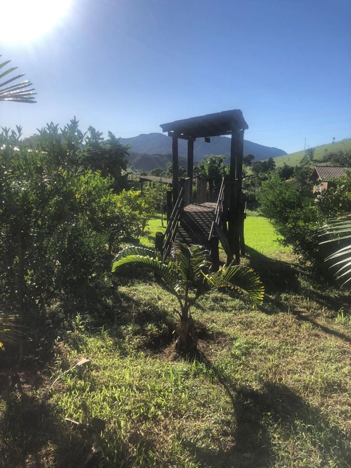 Sítio à Venda -Fazenda - Biguaçu/SC - Foto 25