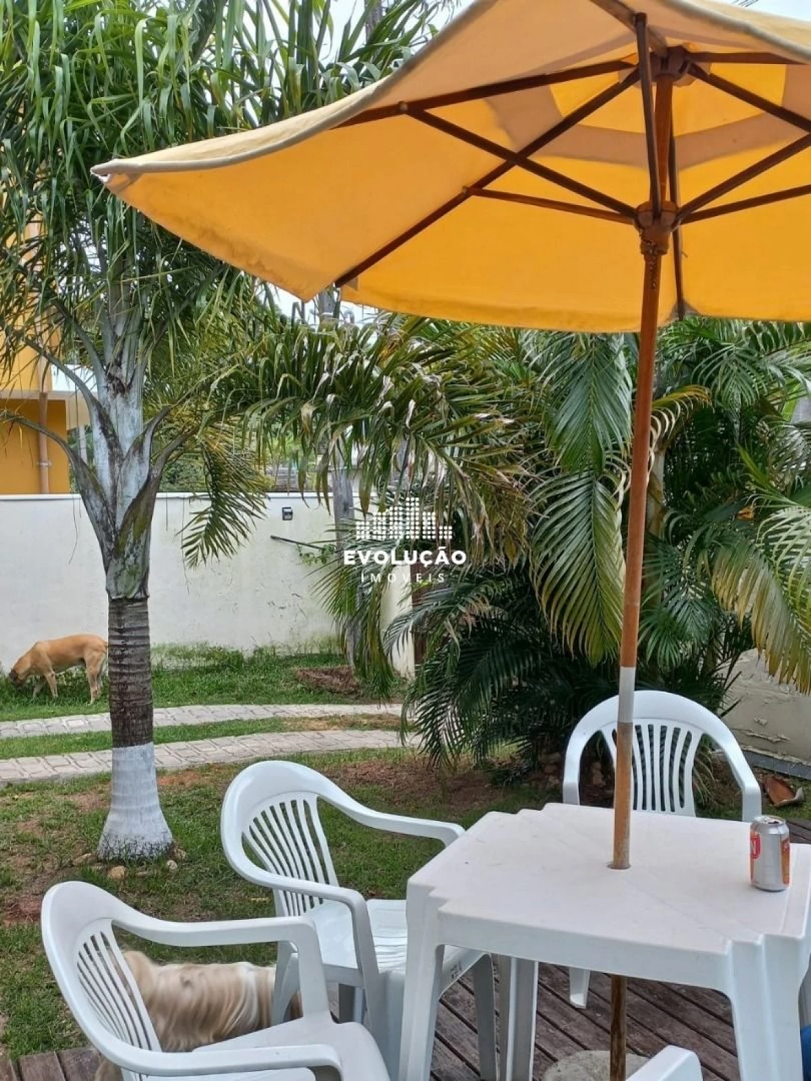 Casa com 3 Dormitórios à Venda, 81 m² - Rio Tavares - Florianópolis/SC - Foto 14