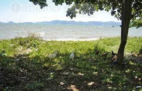 Terreno com 0 quartos em Barreiros, São José