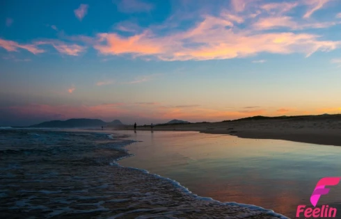 Terreno em Campeche, Florianópolis
