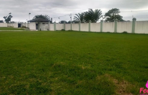 Terreno em Campeche, Florianópolis