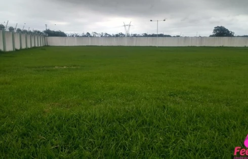 Terreno em Campeche, Florianópolis