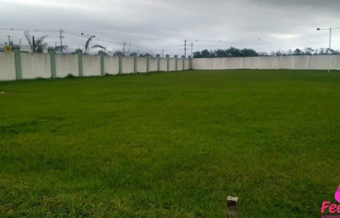 Terreno em Campeche, Florianópolis