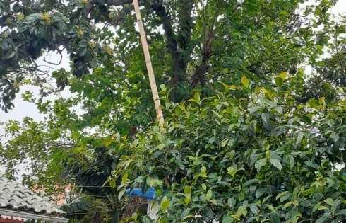 Terreno em Morro das Pedras, Florianópolis