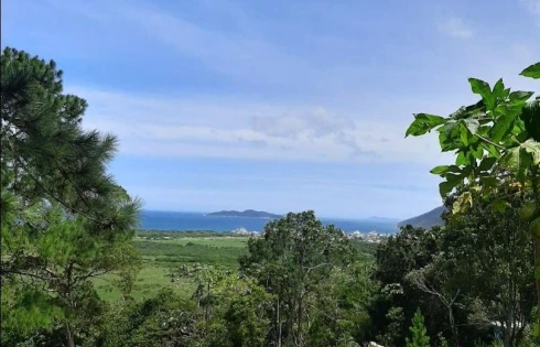 Terreno à Venda, 20000 m² - Armação - Florianópolis/SC - Foto 10