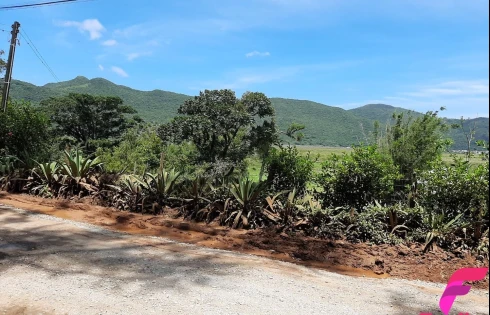 Terreno à Venda, 20000 m² - Armação - Florianópolis/SC - Foto 11