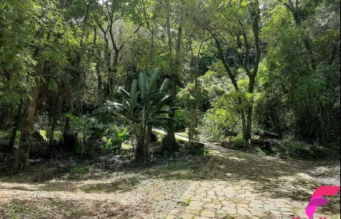 Terreno à Venda, 20000 m² - Armação - Florianópolis/SC - Foto 13
