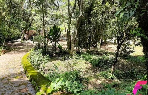 Terreno à Venda, 20000 m² - Armação - Florianópolis/SC - Foto 14