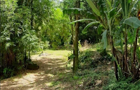 Terreno à Venda, 20000 m² - Armação - Florianópolis/SC - Foto 15