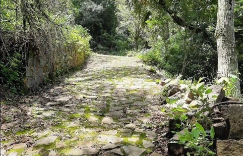 Terreno à Venda, 20000 m² - Armação - Florianópolis/SC - Foto 17