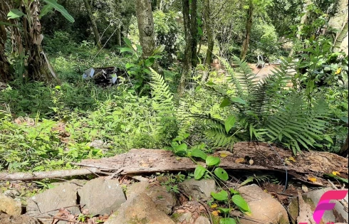 Terreno à Venda, 20000 m² - Armação - Florianópolis/SC - Foto 18