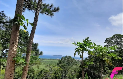 Terreno à Venda, 20000 m² - Armação - Florianópolis/SC - Foto 19