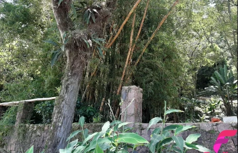 Terreno em Armação, Florianópolis