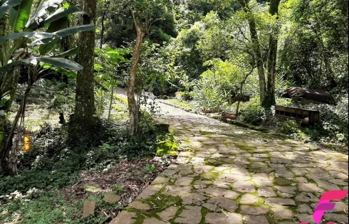 Terreno à Venda, 20000 m² - Armação - Florianópolis/SC - Foto 20