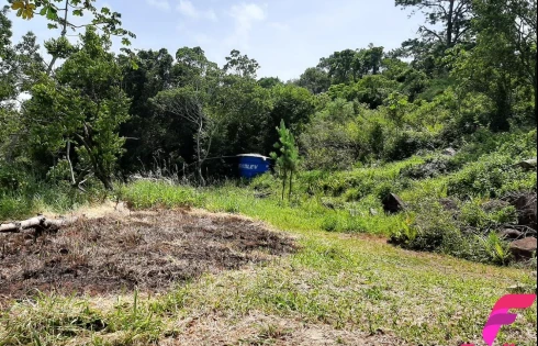 Terreno à Venda, 20000 m² - Armação - Florianópolis/SC - Foto 21