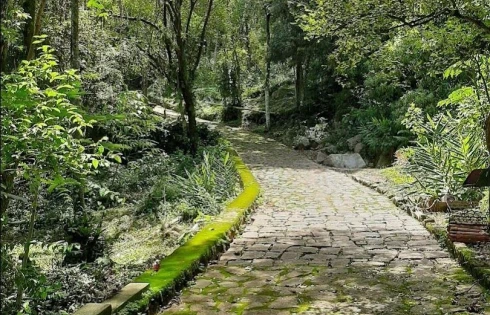 Terreno à Venda, 20000 m² - Armação - Florianópolis/SC - Foto 22