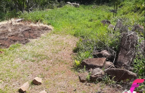 Terreno à Venda, 20000 m² - Armação - Florianópolis/SC - Foto 25