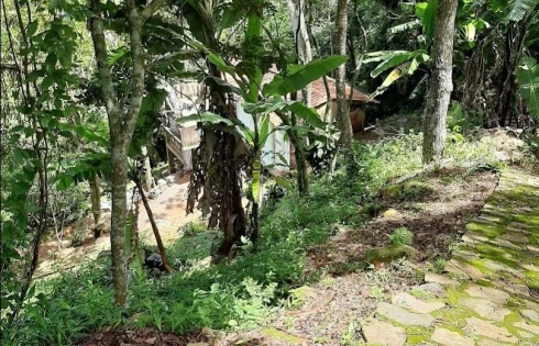 Terreno à Venda, 20000 m² - Armação - Florianópolis/SC - Foto 26