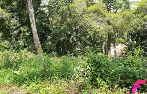 Terreno em Armação, Florianópolis
