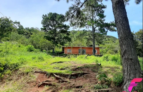 Terreno à Venda, 20000 m² - Armação - Florianópolis/SC - Foto 9