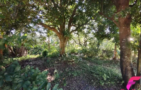 Terreno em Rio Tavares, Florianópolis