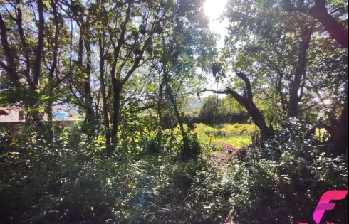 Terreno em Rio Tavares, Florianópolis