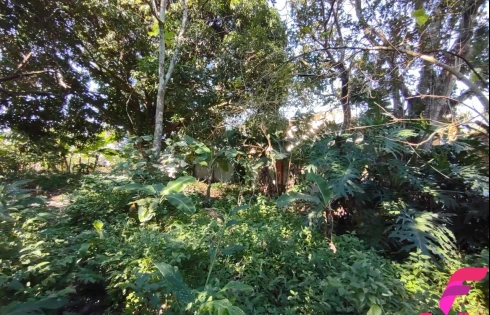 Terreno em Rio Tavares, Florianópolis