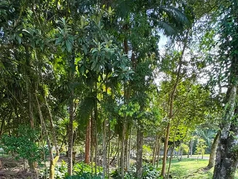 Casa em Saguaçu, Joinville