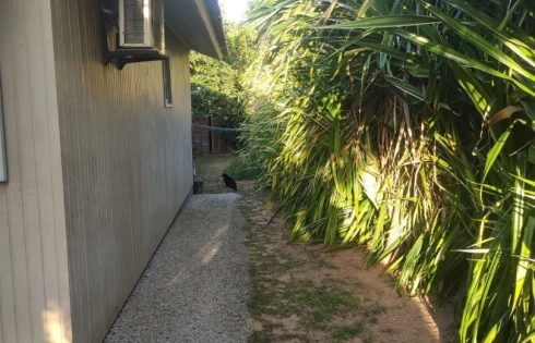 Terreno em Campeche, Florianópolis
