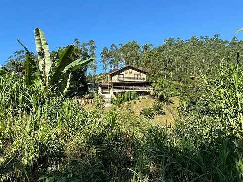 Sítio com 6 Hectares em Nova Trento - Foto 6