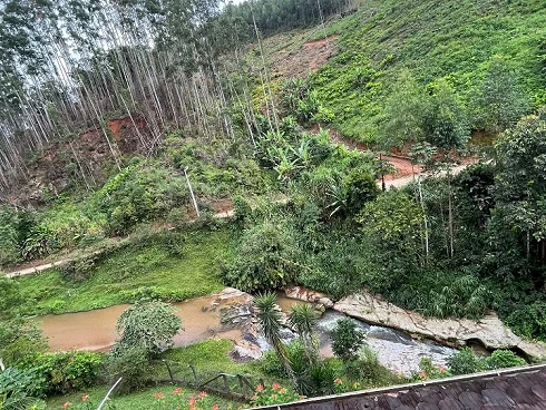 Sítio com 6 Hectares em Nova Trento - Foto 17
