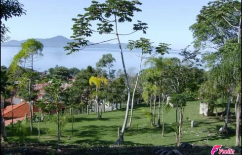 Terreno em Ponta de Baixo, São José