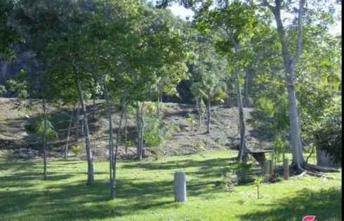 Terreno em Ponta de Baixo, São José