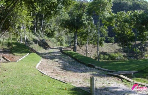 Terreno em Ponta de Baixo, São José