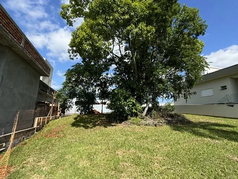 Primeira Linha, Criciúma