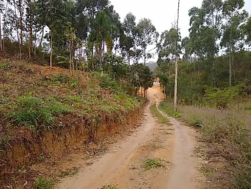 Terreno em Pagará (colônia Santa Luzia), Santo Amaro da Imperatriz