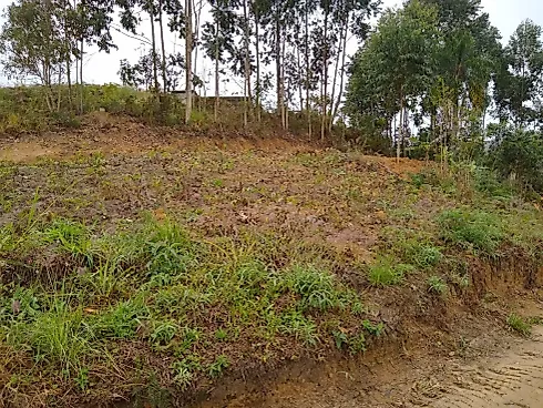 Pagará (colônia Santa Luzia), Santo Amaro da Imperatriz