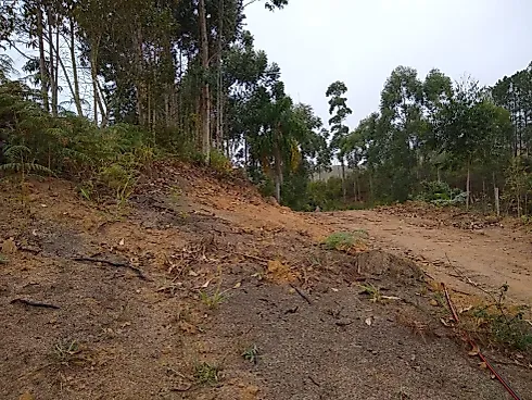 Terreno em Pagará (colônia Santa Luzia), Santo Amaro da Imperatriz