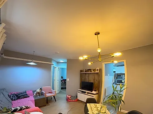 Apartamento 2 Quartos 58m² - Ipiranga - Apartamento em Ipiranga, São José - Foto 3