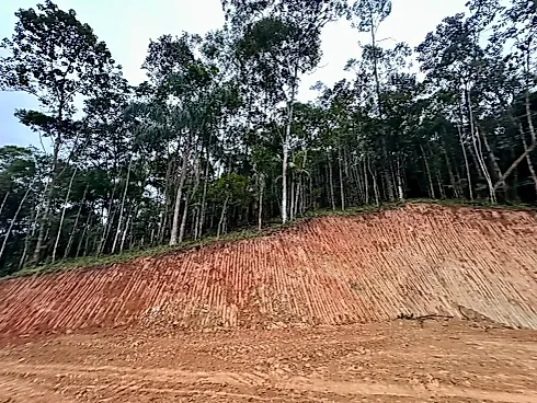 Terreno Rural com 30.142,92M² em Massaranduba/SC