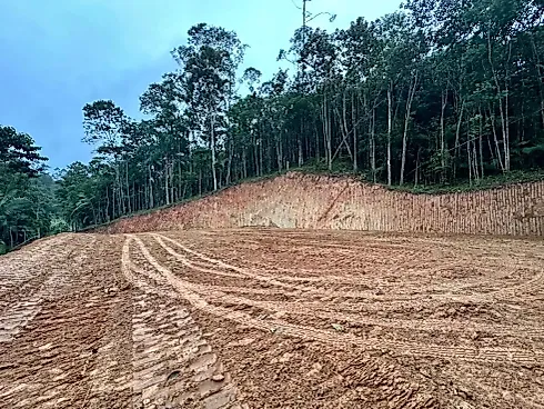 Terreno em Massaranduba, Massaranduba