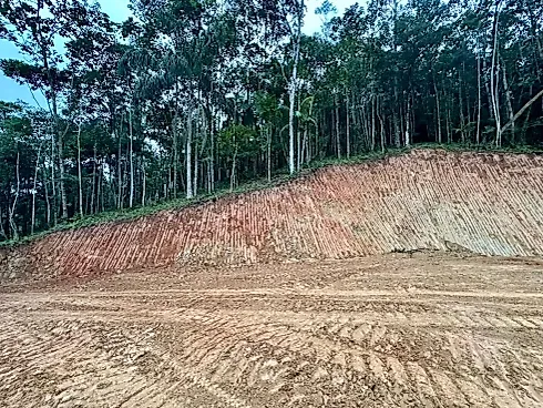 Terreno em Massaranduba, Massaranduba