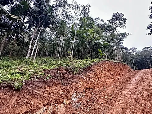 Terreno Rural com 30.142,92M² em Massaranduba/SC - Foto 6