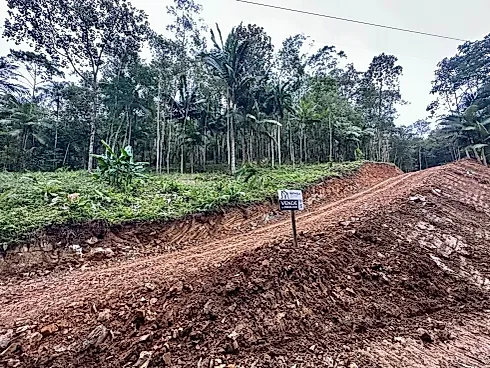 Terreno Rural com 30.142,92M² em Massaranduba/SC - Foto 8