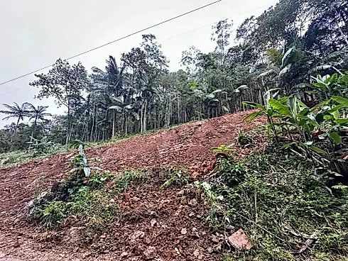 Terreno Rural com 30.142,92M² em Massaranduba/SC - Foto 9